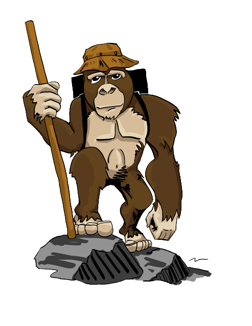 Amble Ape Recovery