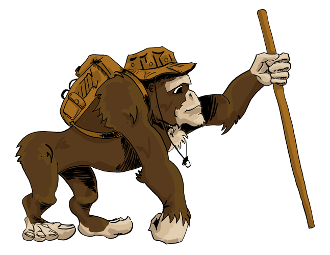 Ape
